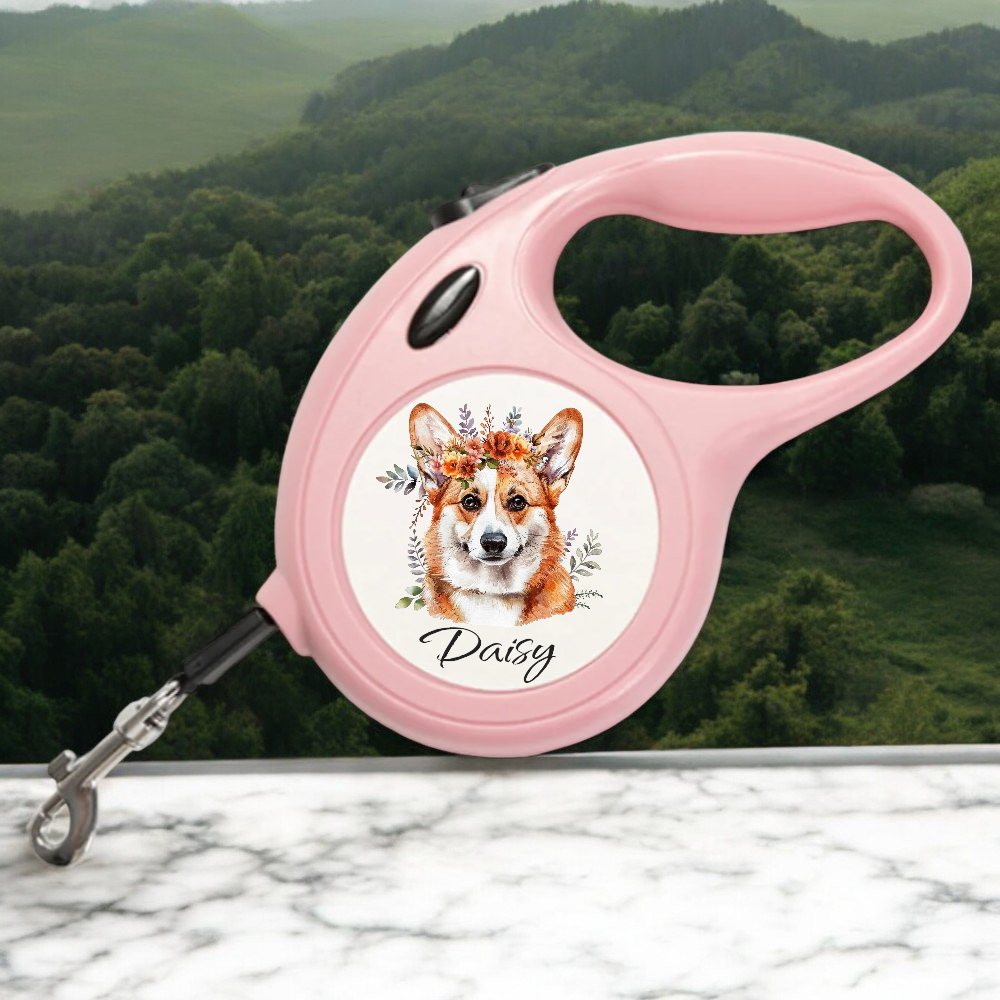 Personalised Dog Lead: