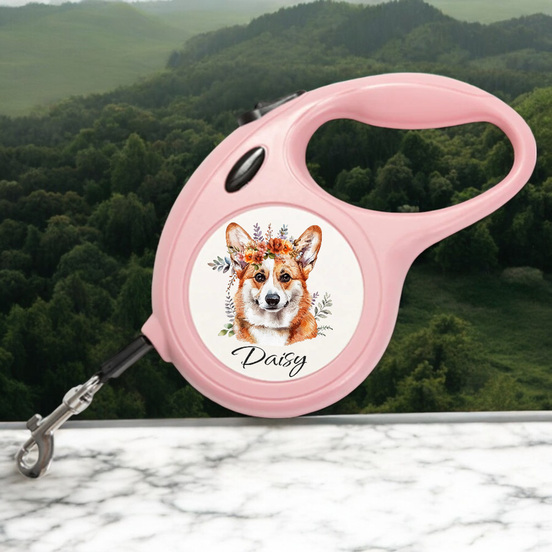Personalised Dog Lead:
