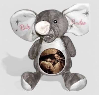 Personalised Soft Teddies