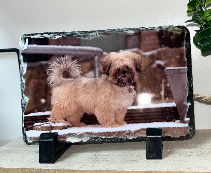Mini Photo Slate