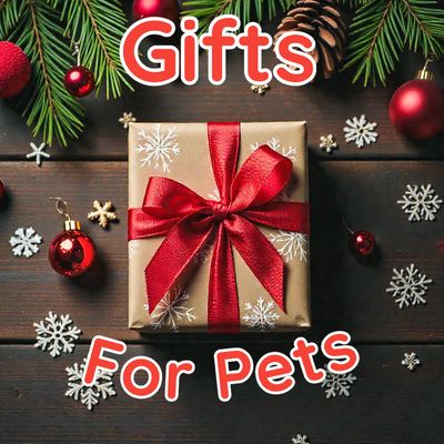 Gifts for Pets