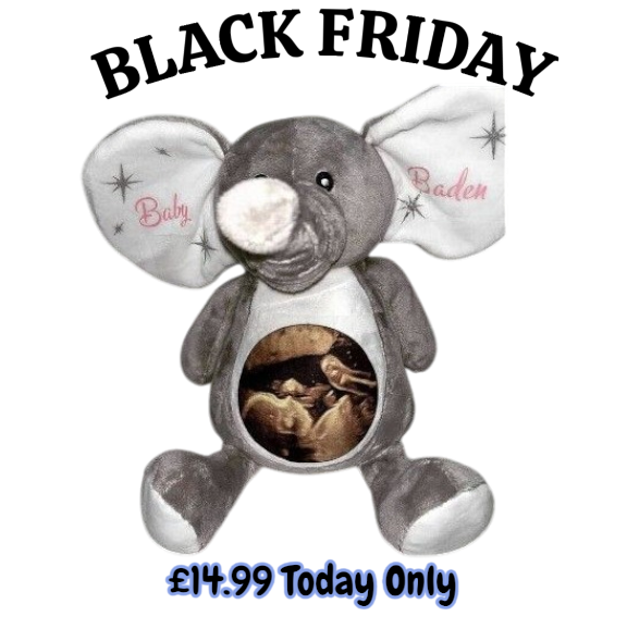 Personalise Bear  (Add your photo)