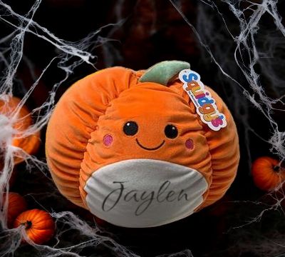 Pumpkin Squidgy