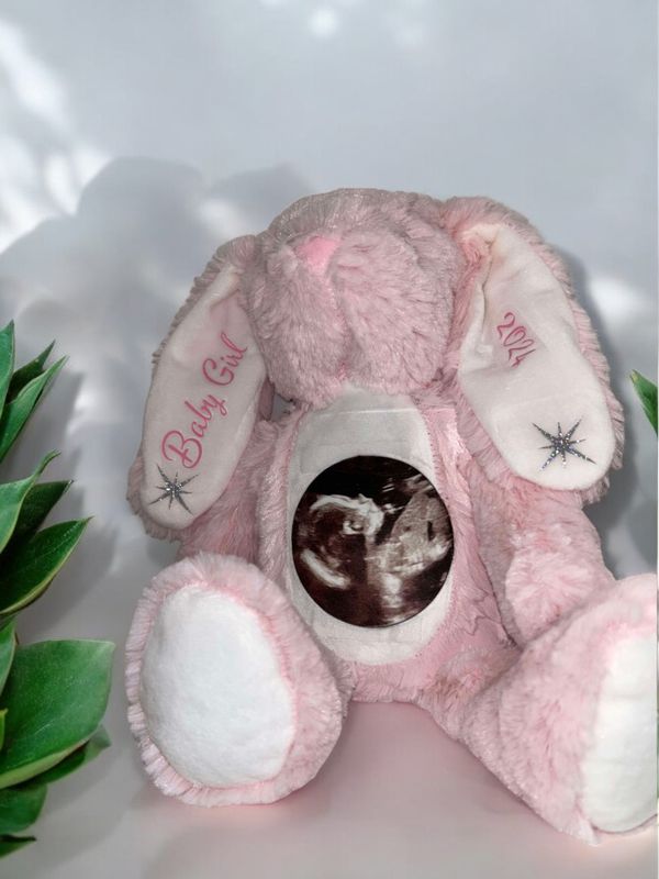 Pink Rabbit: Personalised Soft Teddy Pink Rabbit: Personalised Soft Teddy