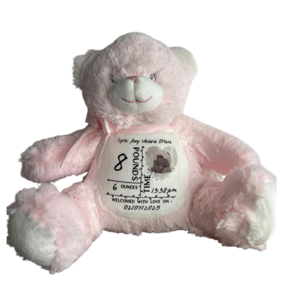 Baby stats bear
