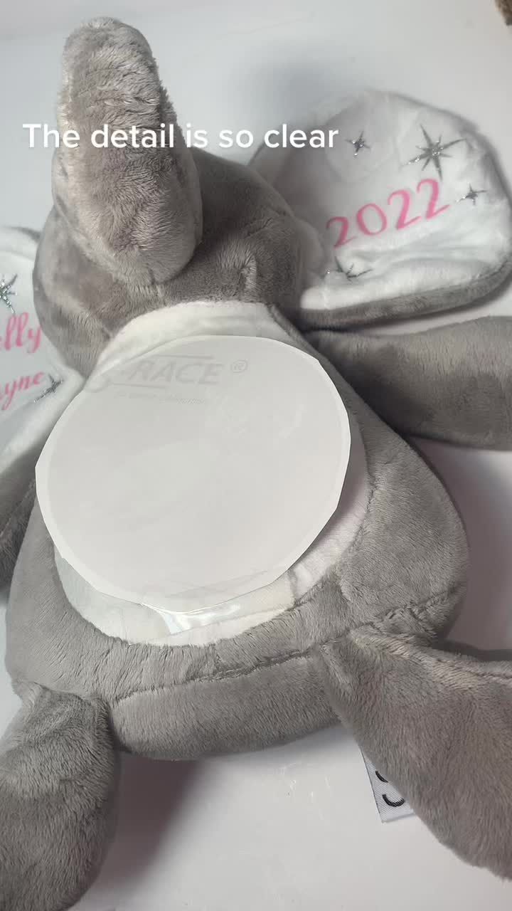 Personalise Bear  (Add your photo)