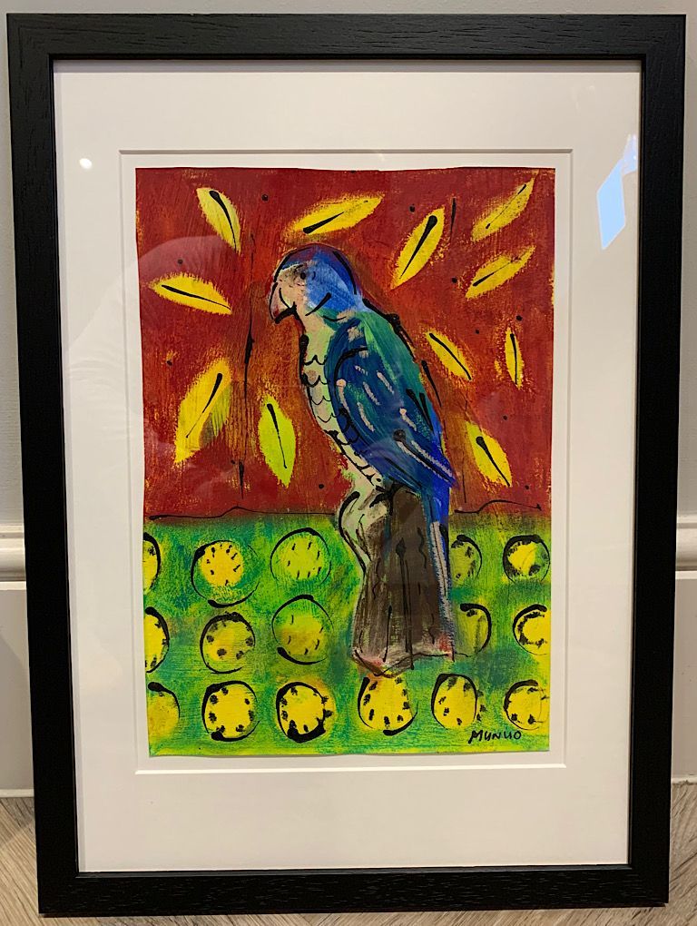 Blue winged parrot