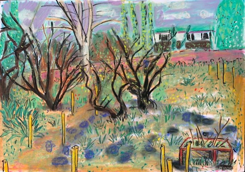 Benton End Catalogue, room 3 - Marking new pathways in Cedric Morris’s Garden