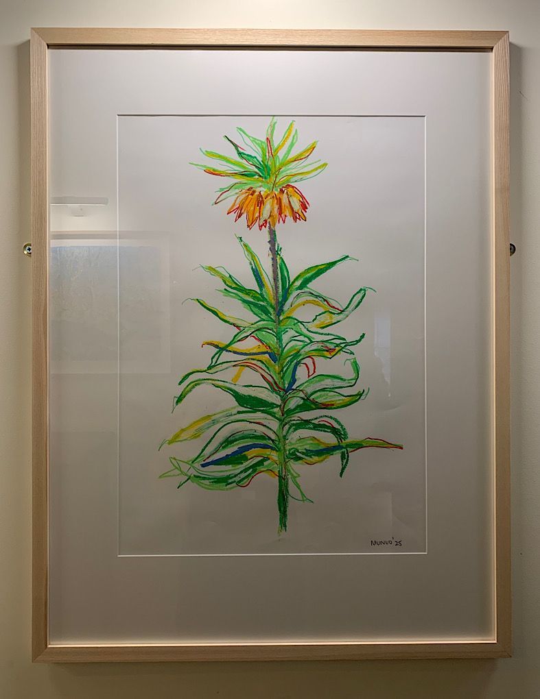 Benton End Catalogue, room 4 - Crown Imperial sketch 5