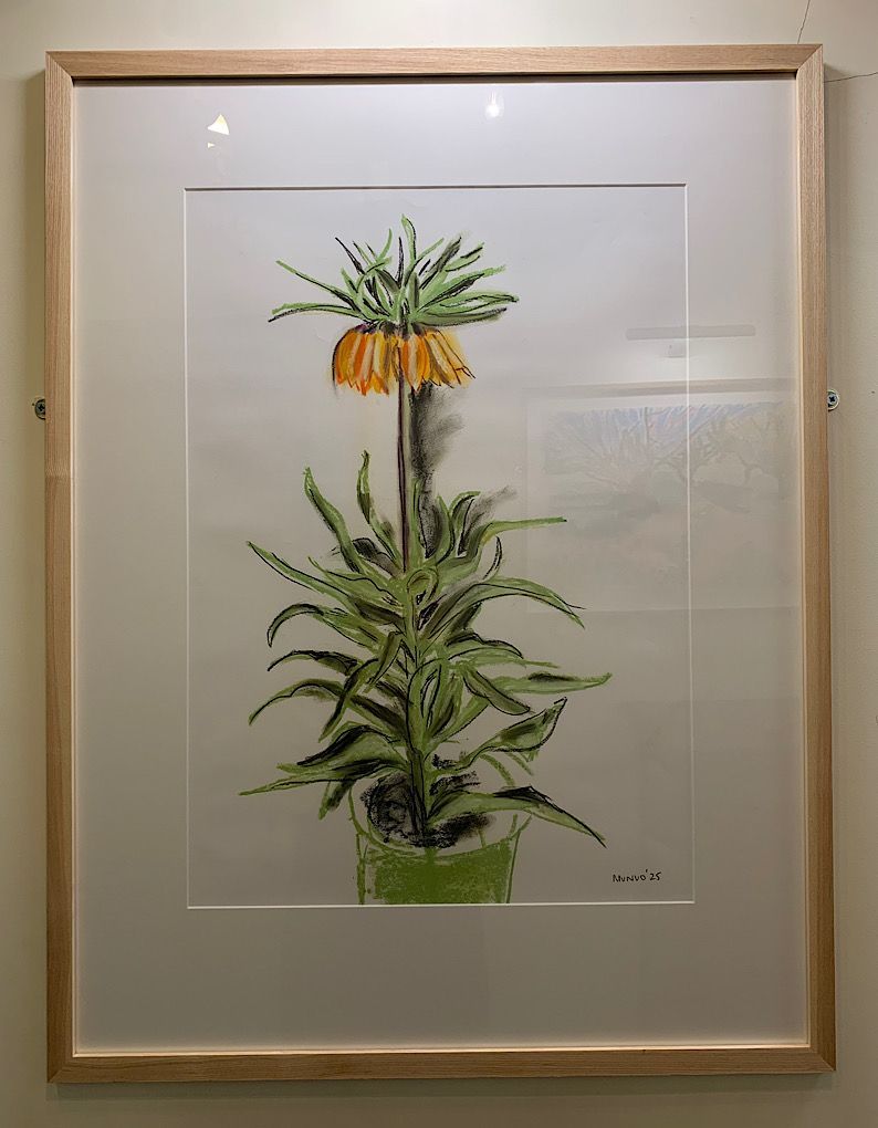 Benton End Catalogue, room 4 Crown Imperial sketch 2