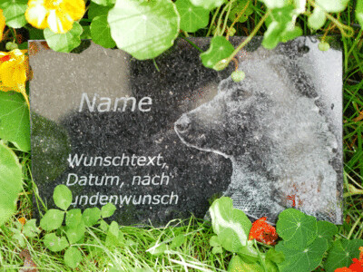 Tiergrabstein Gedenkstein Grabstein mit individueller Fotogravur Granit