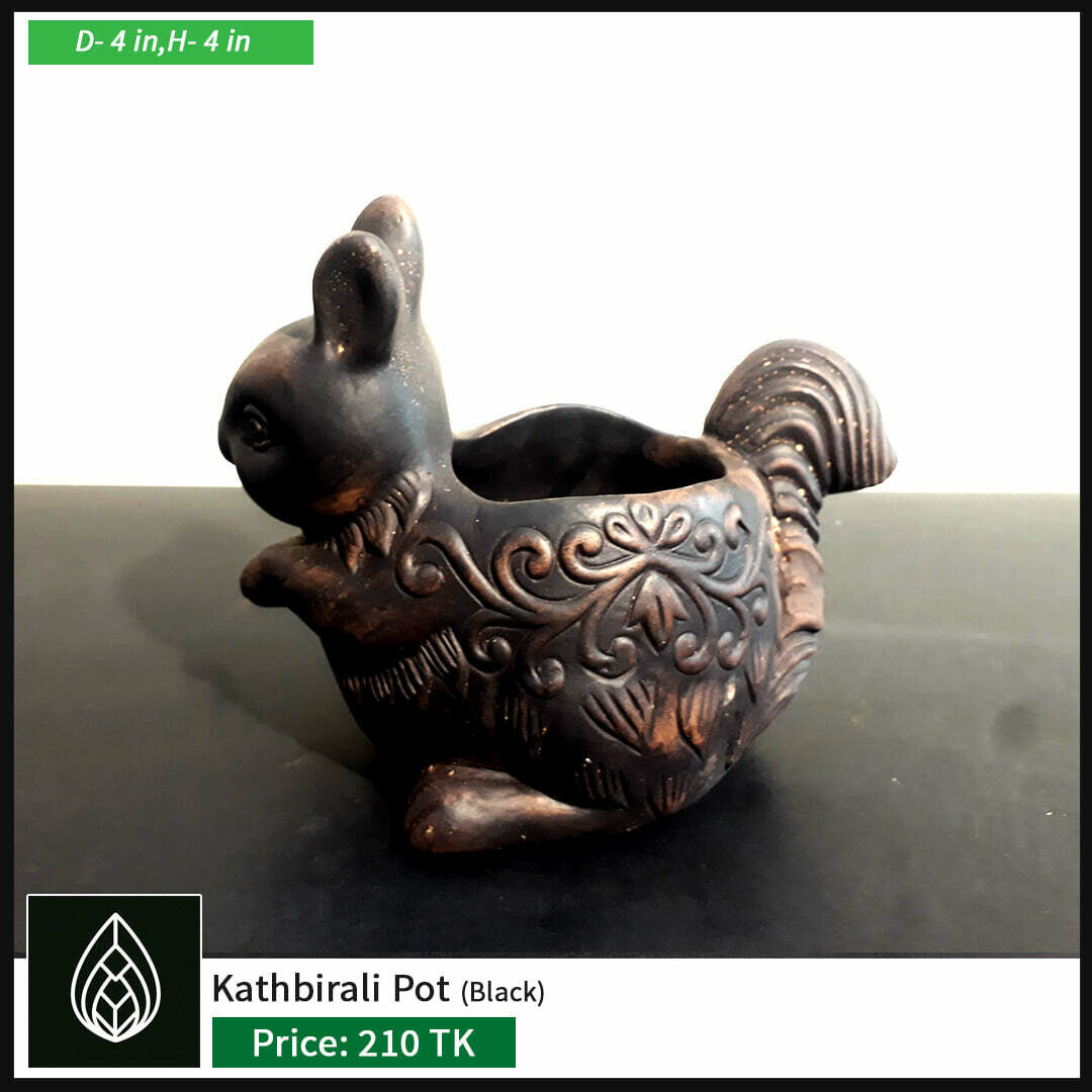 Kathbirali pot (কাঠবিড়ালি) পট