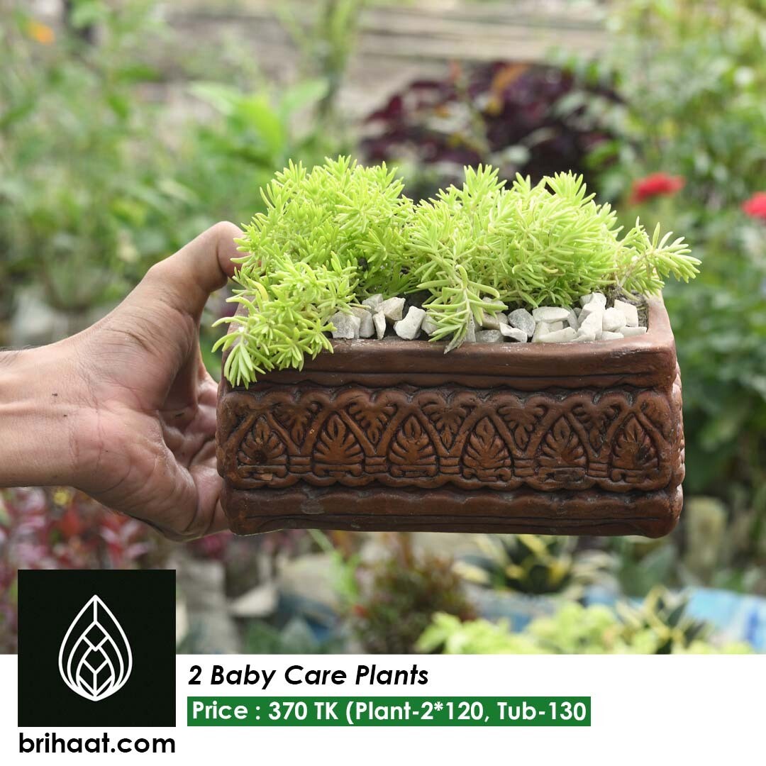 Baby care plants with special designed tub