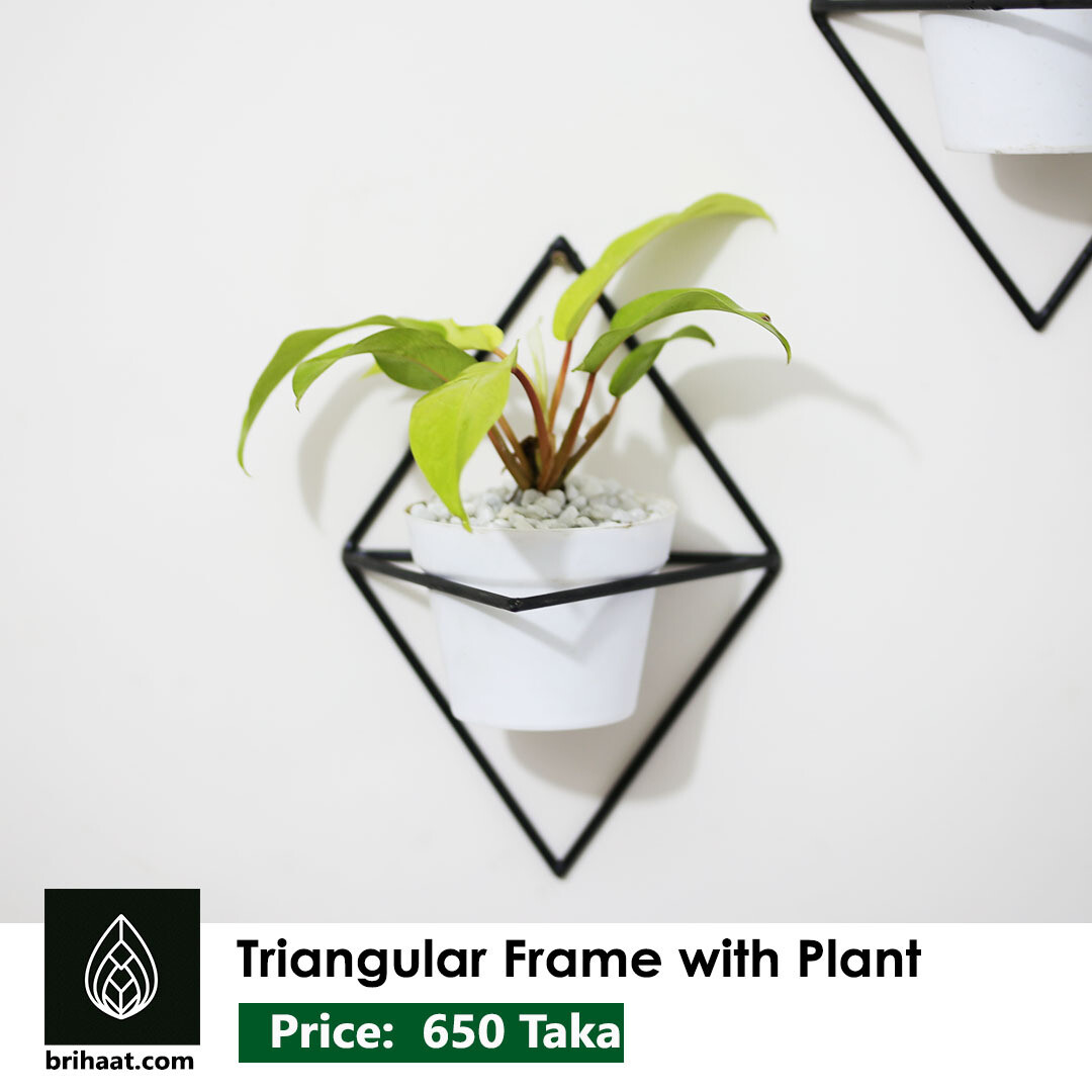 Triangular Metal Frame Set (3 pcs with tub)