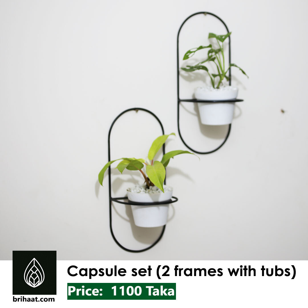 Capsule Frame Set (2 pcs)