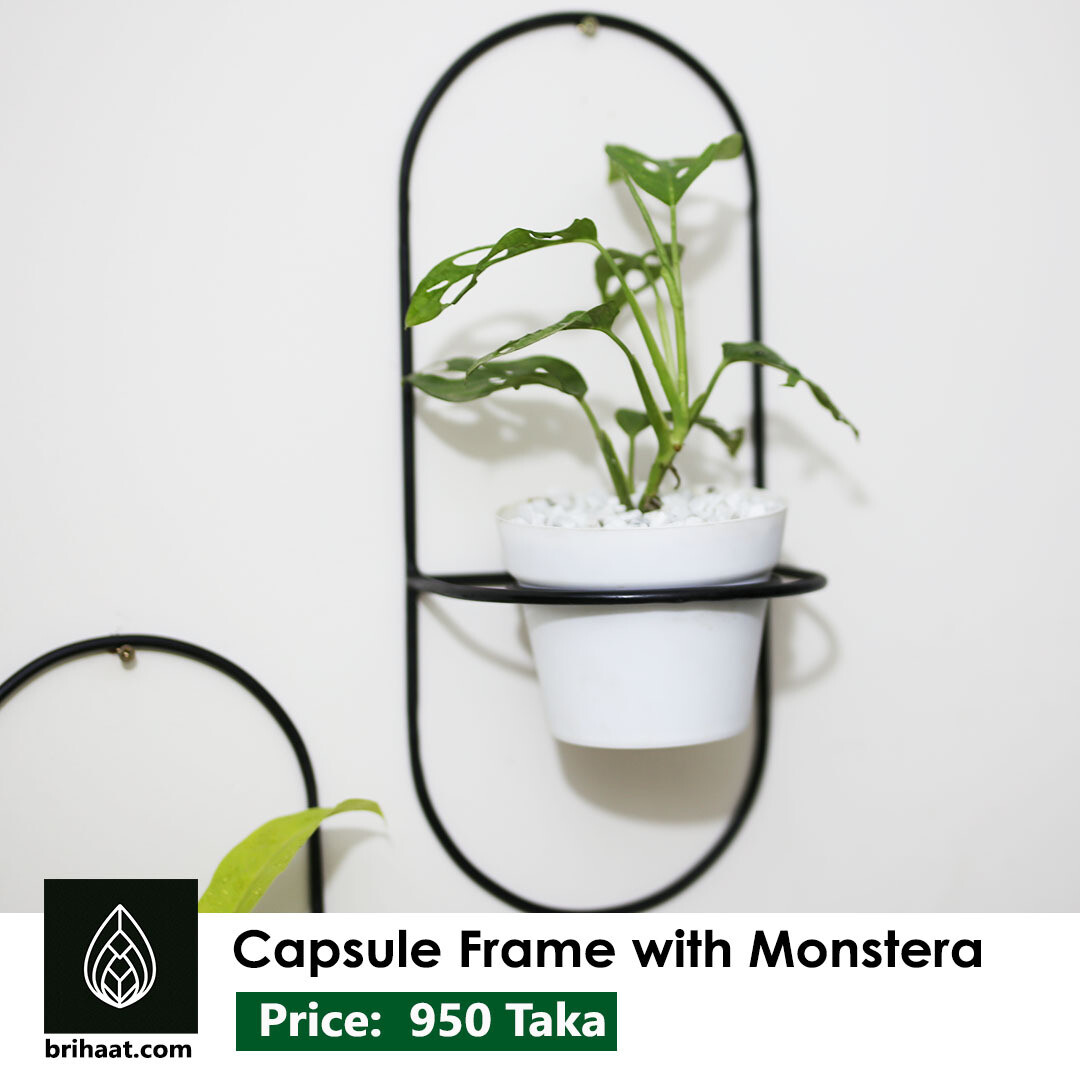 Capsule Frame Set (2 pcs)