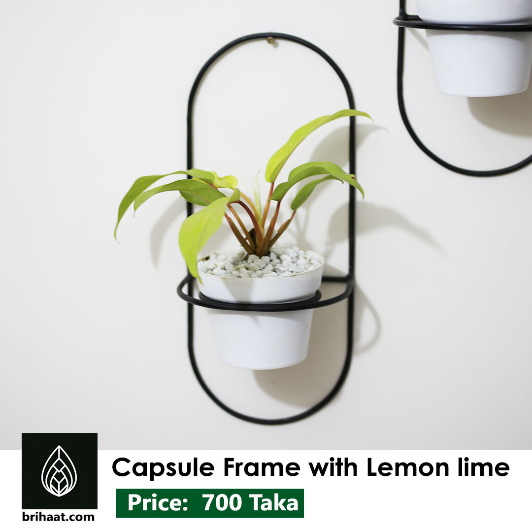 Capsule frame set (2 pcs)