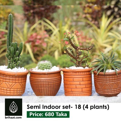 Semi Indoor set - 18