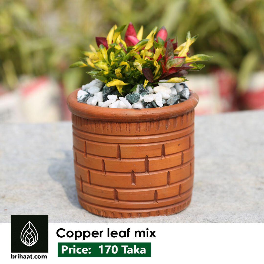 Copper Leaf Mix