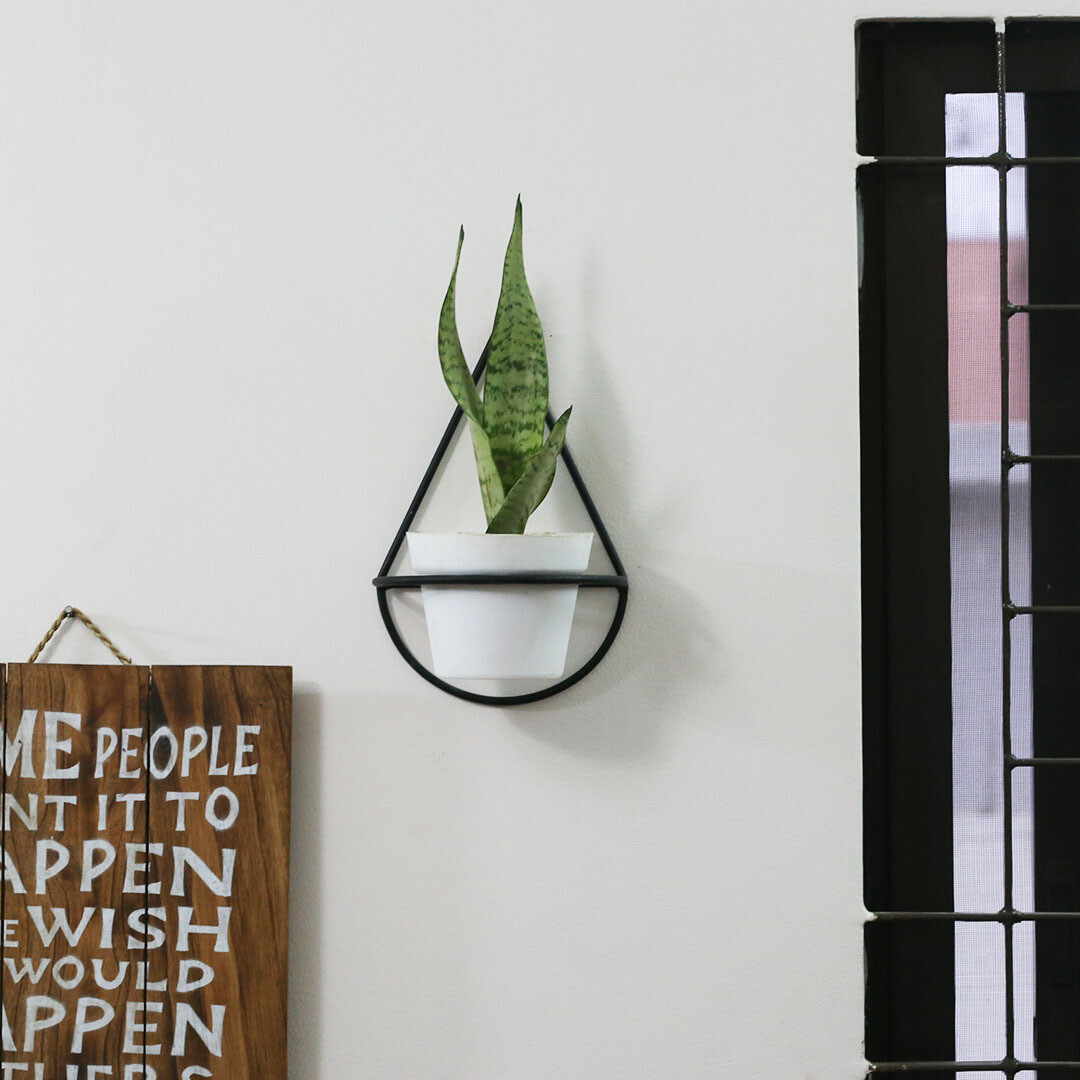 Dew drop Planter