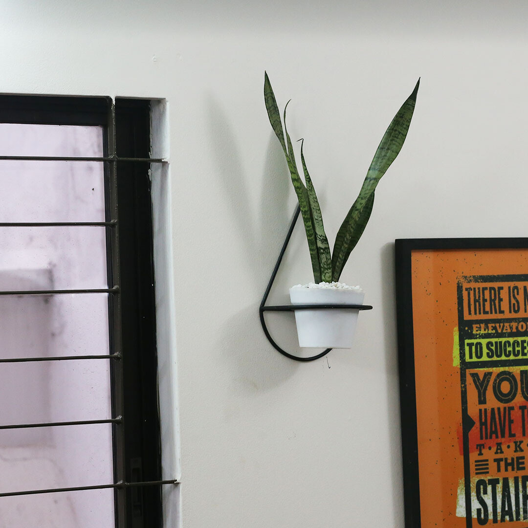 Dew drop Planter