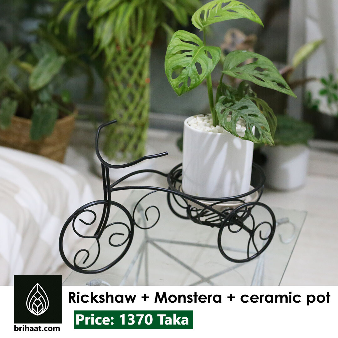 Rickshaw Planter