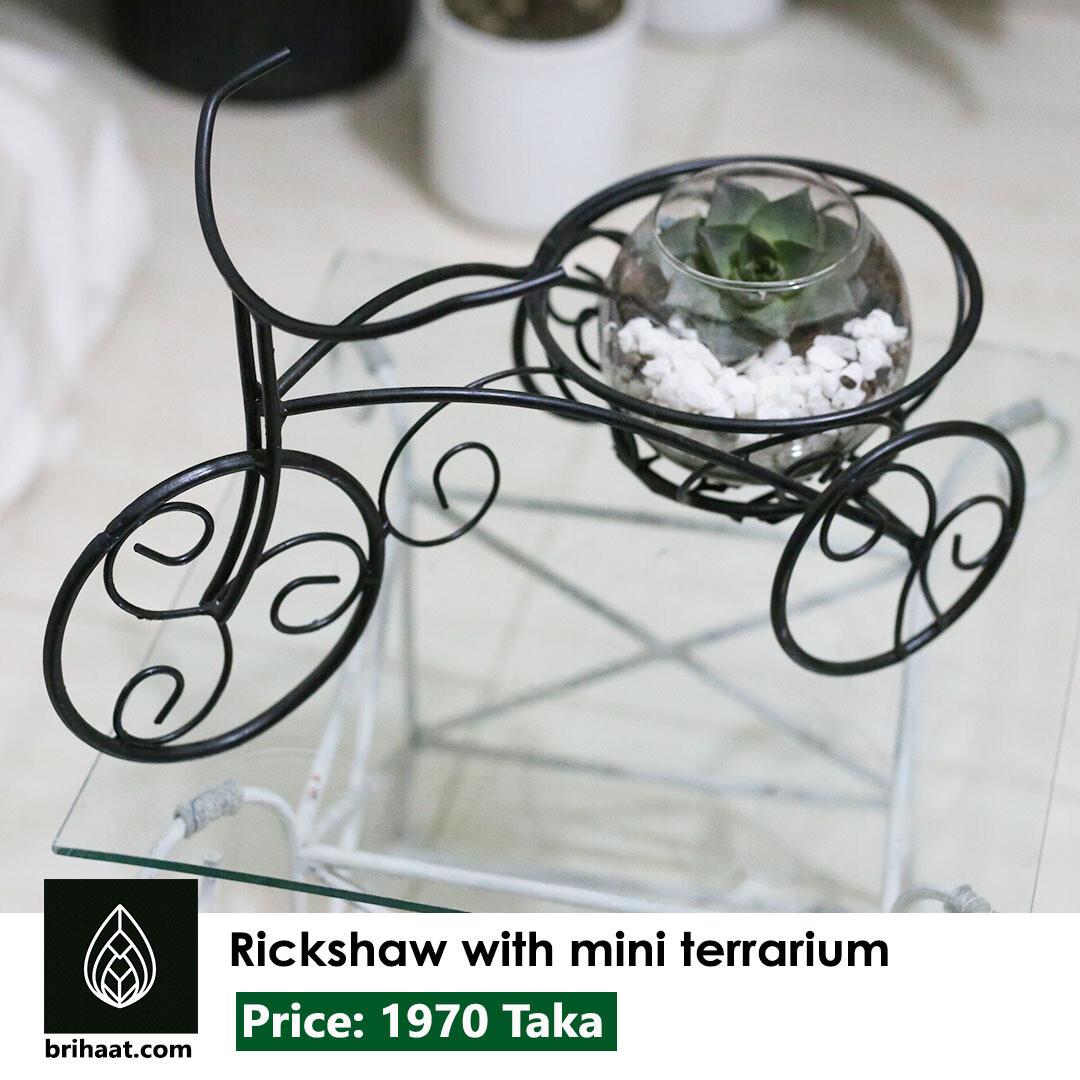 Rickshaw Planter