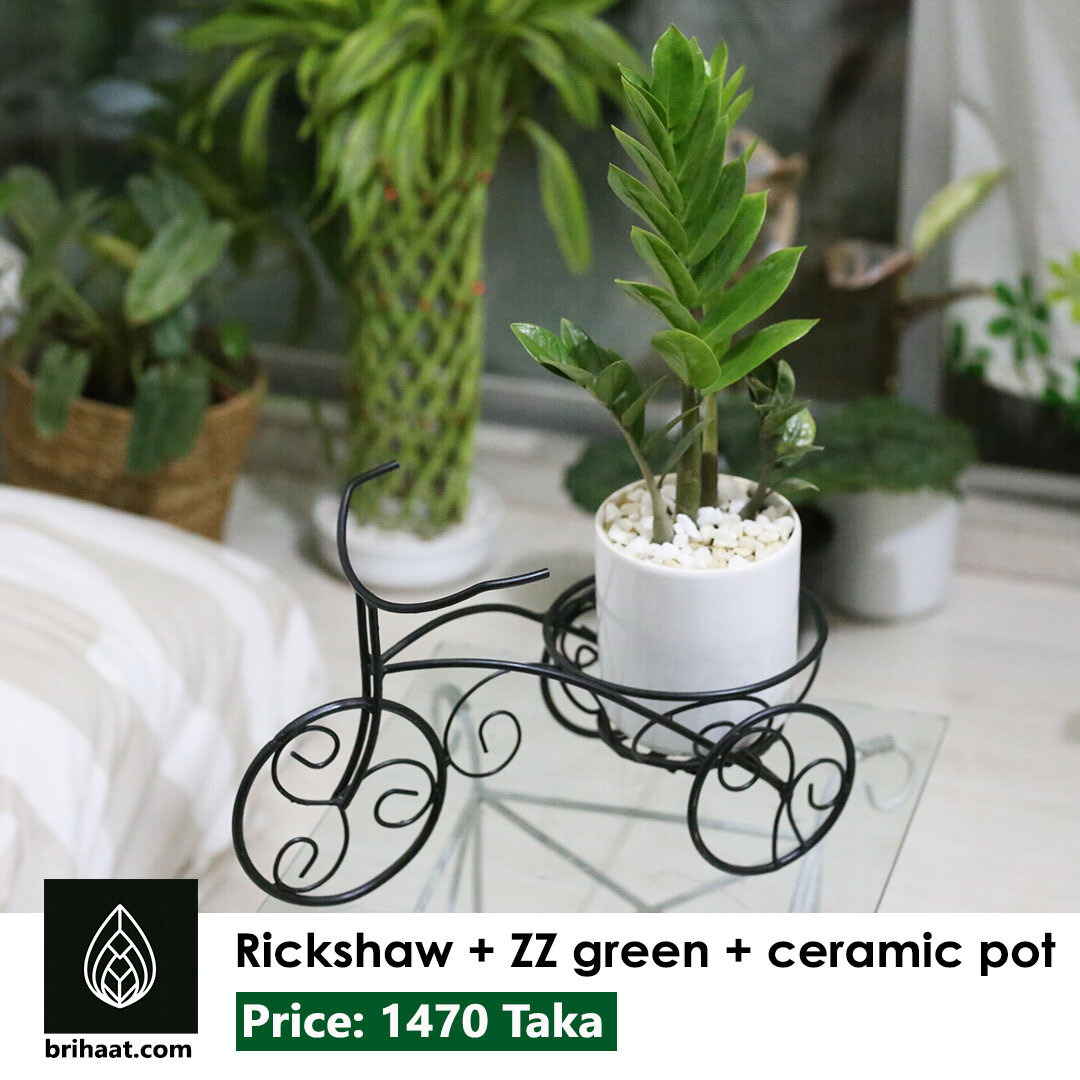 Rickshaw Planter