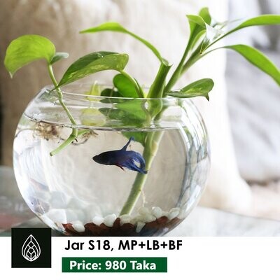 Jar S18 MP+LB