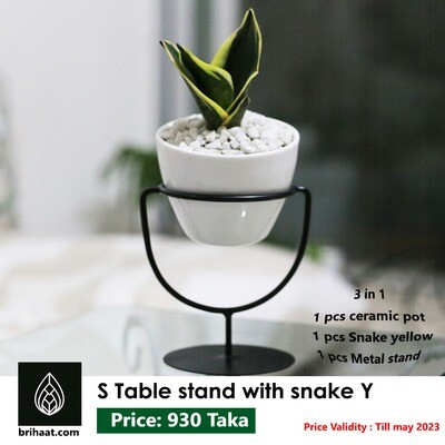 Snake with Single Round Stand and Ceramic Pot