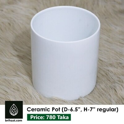 Ciramic pot D-6.5" H-7''