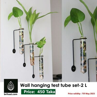 Wall Hanging Test Tube Set-2 (L Shape Metal Frame)