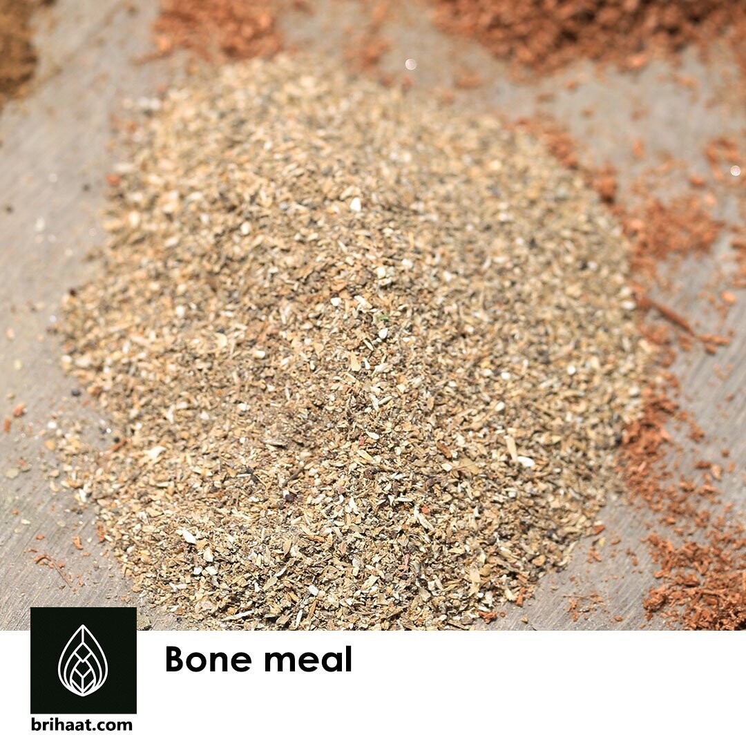 Bone Meal/বোন মিল/হাড়ের গুরা