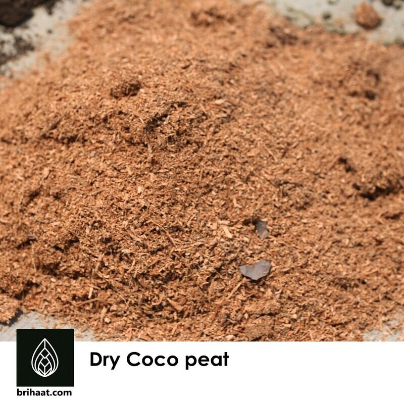Dry Coco Peat