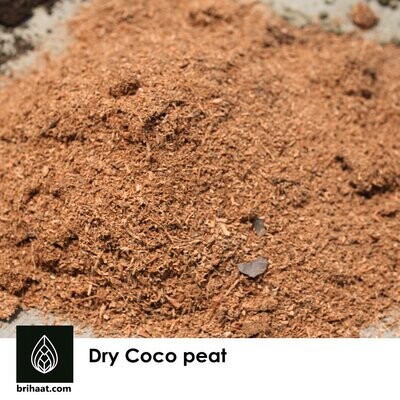Dry Coco Peat