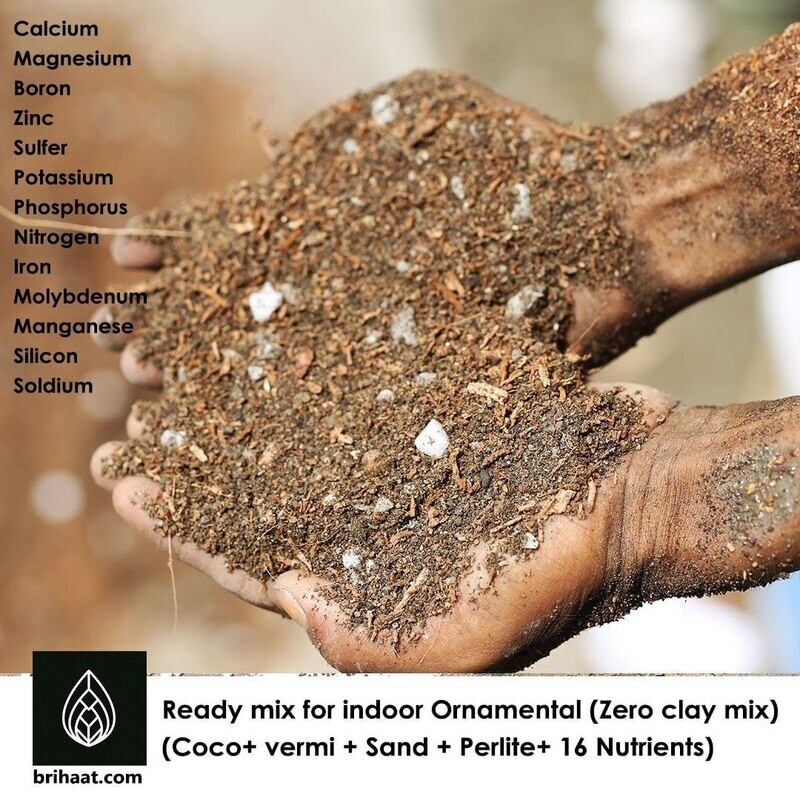 Soil (Ready Mix Ornamental) 0% Clay