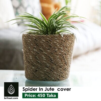 Spider in Jute Cover