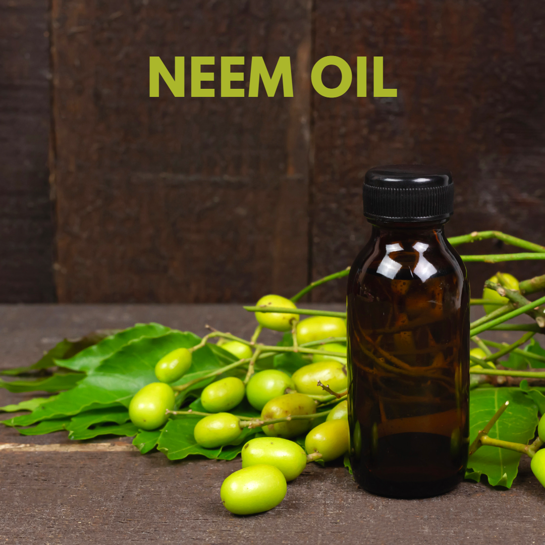 Neem Oil