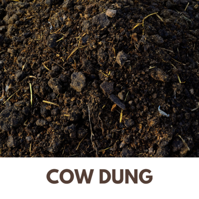 Cow Dung (Dry)