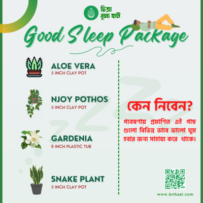 Good Sleep Package (4 Plants)