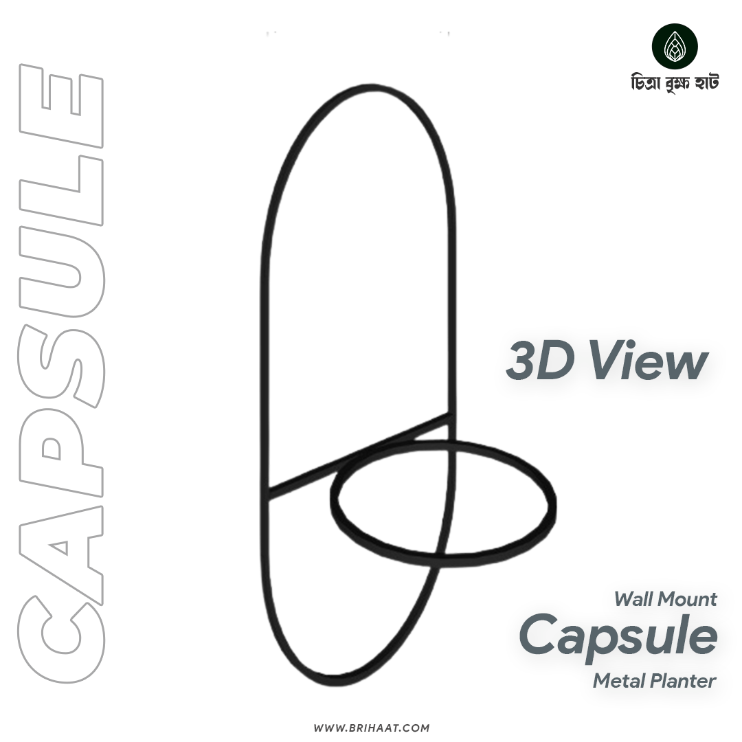 Capsule (Wall Mount Metal Planter)