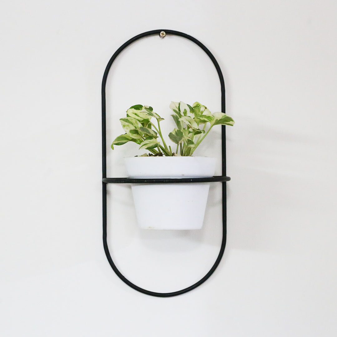 Capsule (Wall Mount Metal Planter)