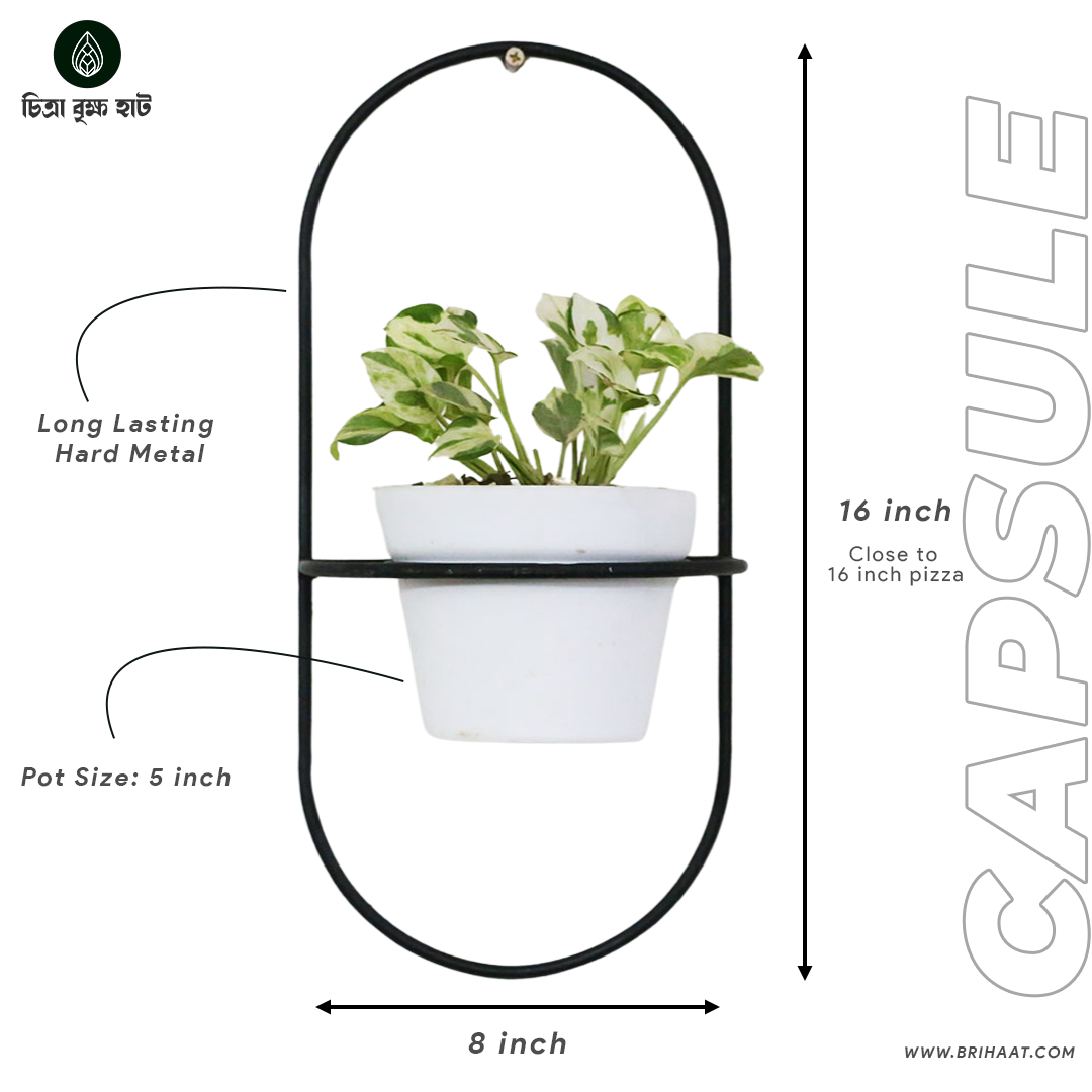 Capsule (Wall Mount Metal Planter)