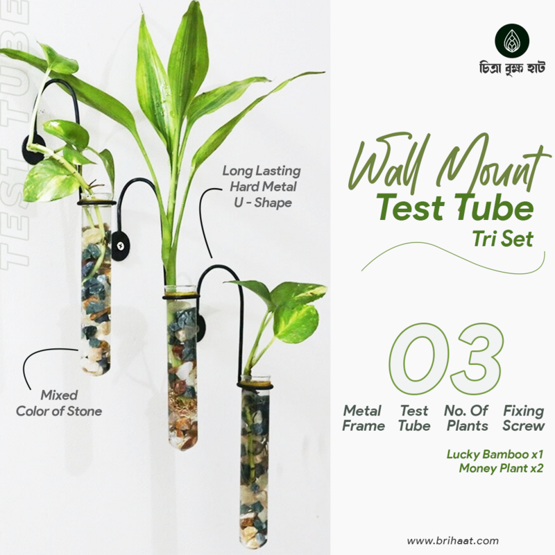 Wall Hanging Test Tube (Tri Set) With Plants