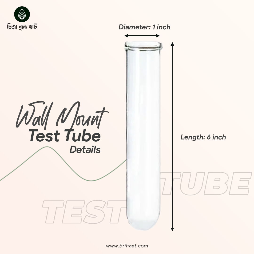 Wall Hanging Test Tube (Tri Set) With Plants