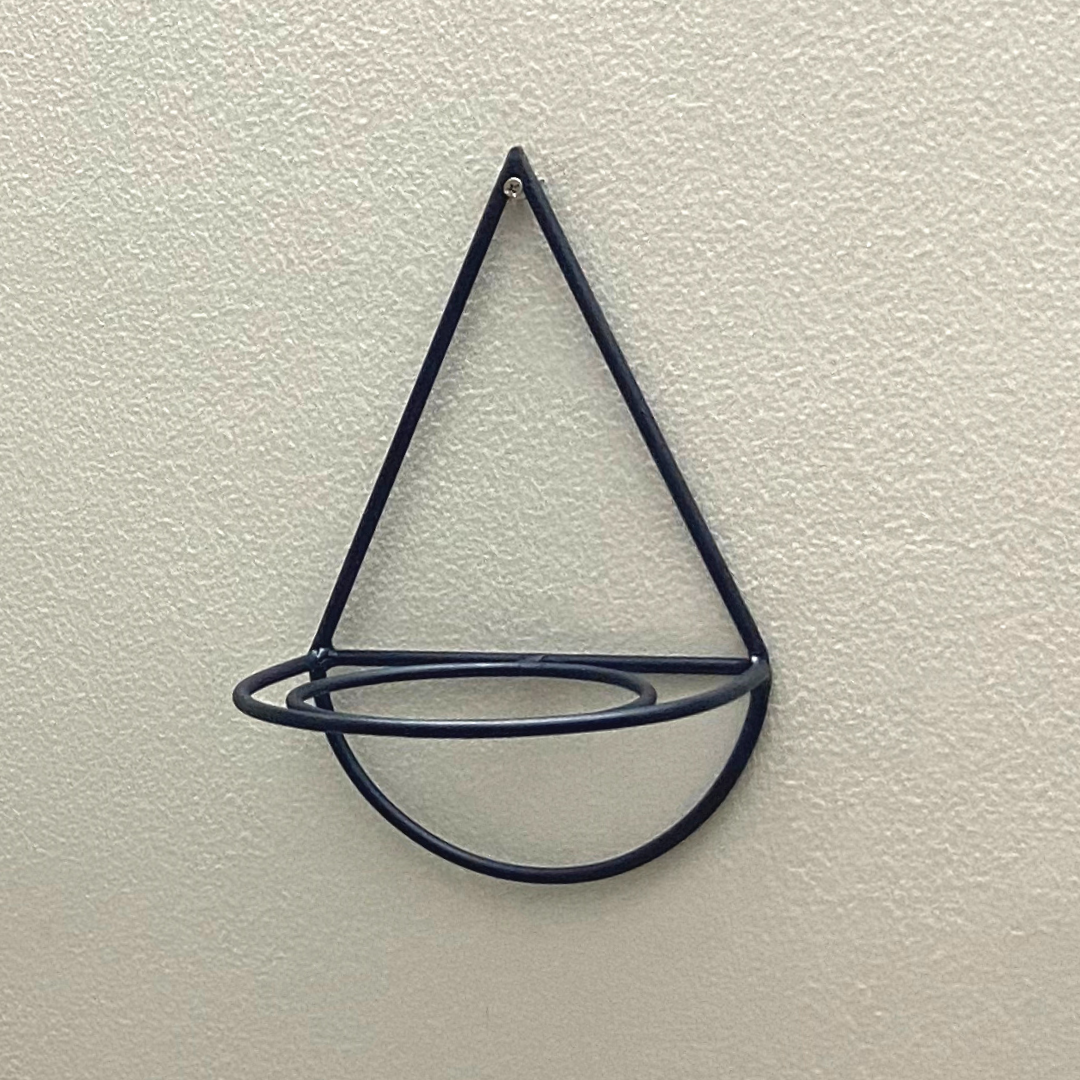 Wall Mount Metal Planter (Droplet Shape) with Pothos Plant