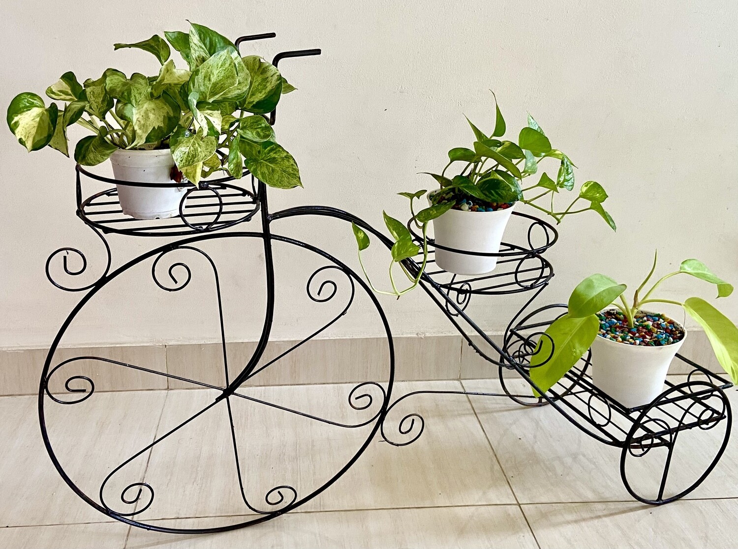 Ricksha planter with plants