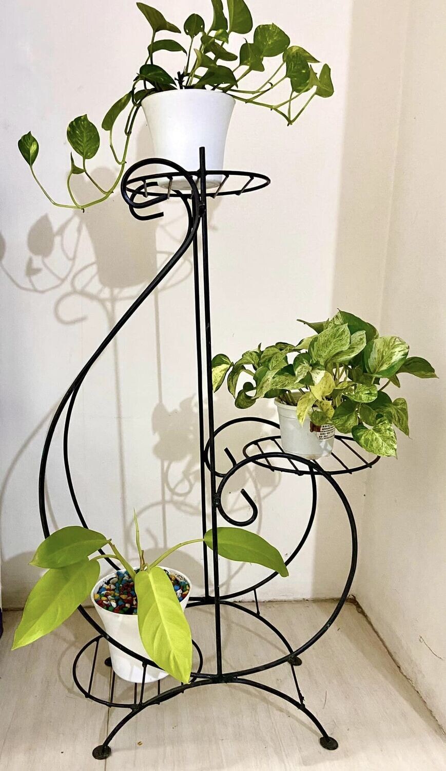 Metal with 3 plants Offer