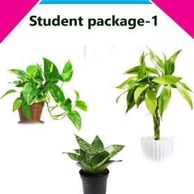 Student package 1