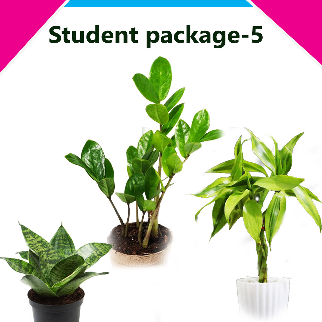 Student package 5